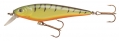 Berkley Frenzy FS9-SS-FT