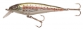 Berkley Frenzy FS9-SS-RT