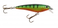 Berkley Frenzy FS6-S-PE